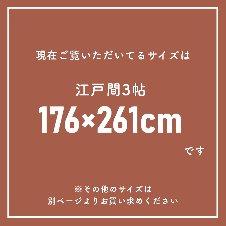 iC100gpY{[O WFCh 176~261cm ]ˊ3 v[x