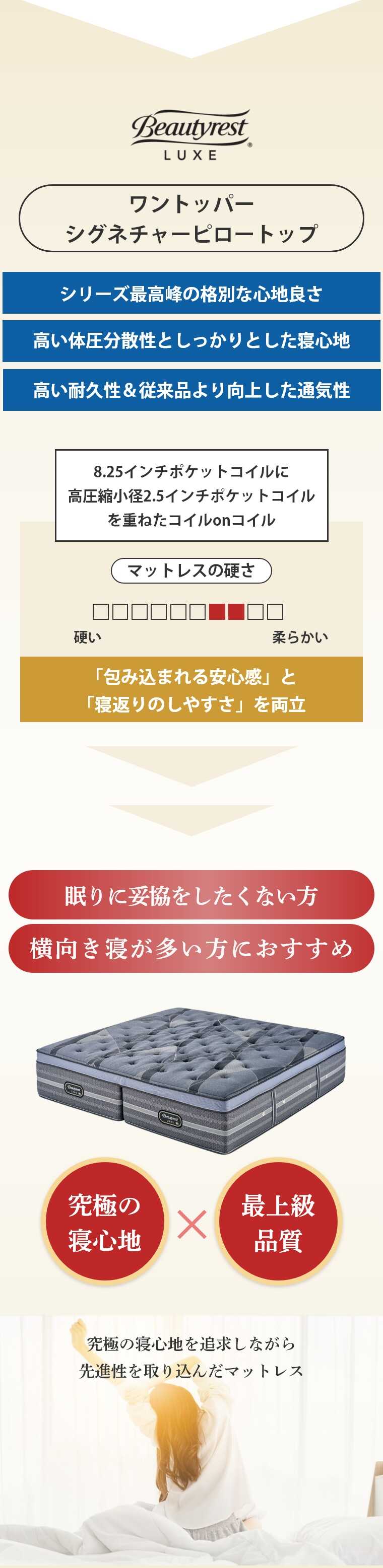 �V�����Y �����N�X �}�b�g���X  �����g�b�p�[�V�O�l�`���[�s���[�g�b�v K�i180�~195�j AA21LS2X0118001950  �J���ݒu 