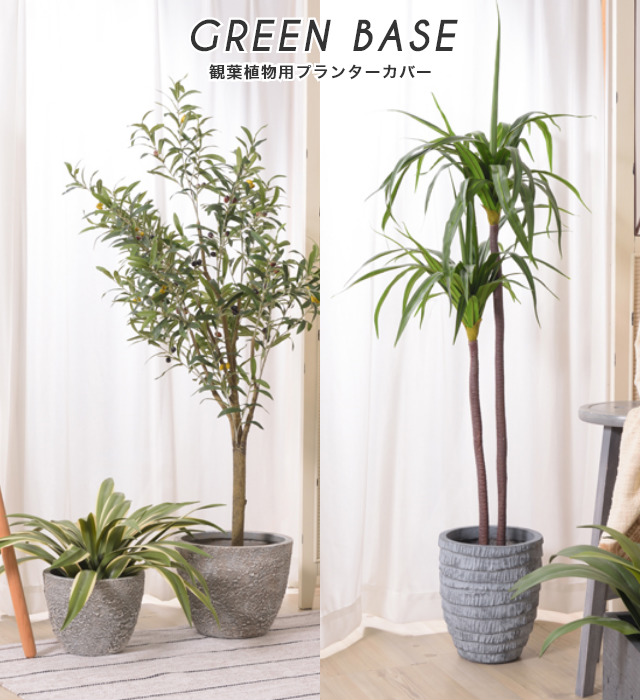 その他観葉植物 user_1242a77b 観葉植物 ユッカ 6号 ノーマル エコストーンwhite 付き | 観葉