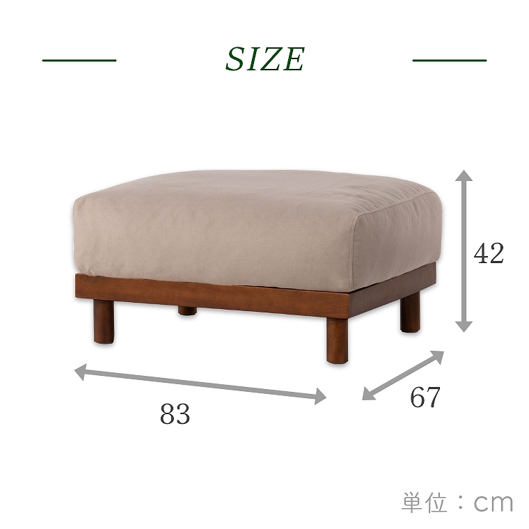 oCJ[炵͋C̃Ibg} F1-119 J form