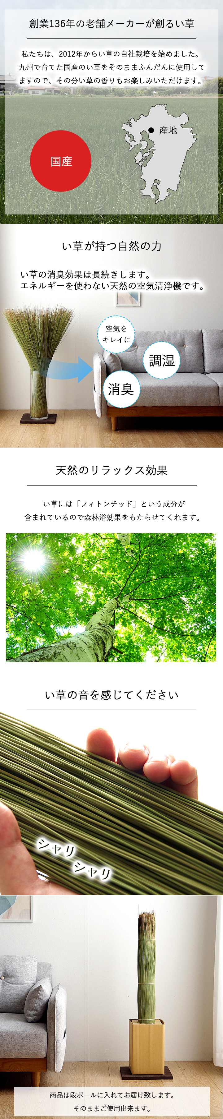 国産 日本製 い草 インテリア オブジェ 消臭 空気清浄 ナチュラル 植物 置物 95×10cm イケヒコ