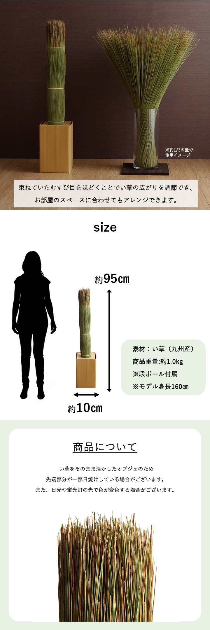 国産 日本製 い草 インテリア オブジェ 消臭 空気清浄 ナチュラル 植物 置物 95×10cm イケヒコ