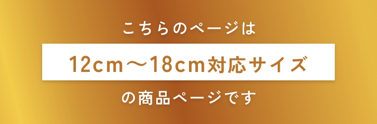 �T�C�Y�ɂ���