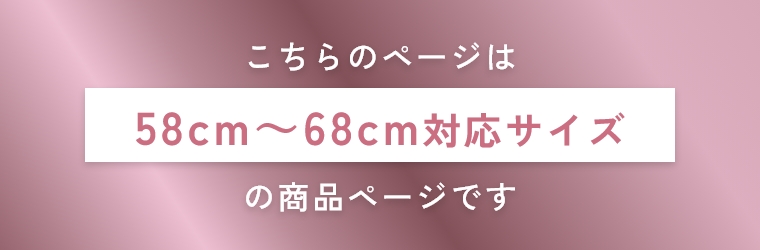 �T�C�Y�ɂ���