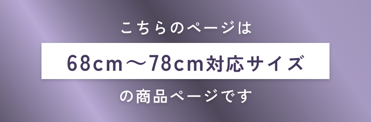 �T�C�Y�ɂ���