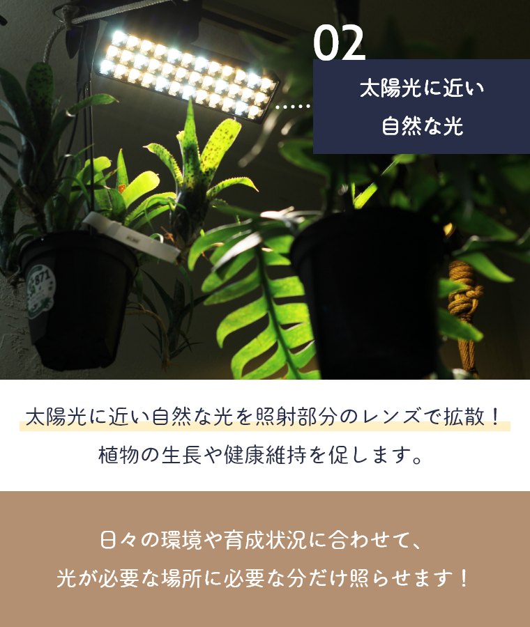 LEDX|bgCgforvc WARM COOL zCg ubN BRID