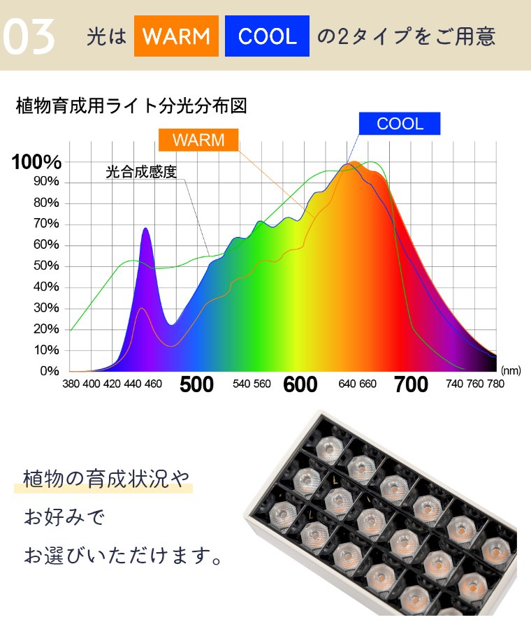 LEDX|bgCgforvc WARM COOL zCg ubN BRID