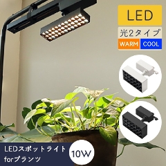 LEDX|bgCgforvc BRID 10W WARM COOL (A琬Cg/X|bgCg/LED/ϗtA/_Ng[/|/ǖʗΉ/cCg/i/͔|/pCg/Ɩ/ubh)