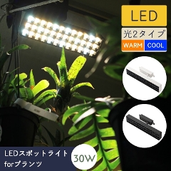 LEDX|bgCgforvc BRID 30W WARM COOL (A琬Cg/X|bgCg/LED/ϗtA/_Ng[/|/ǖʗΉ/cCg/i/͔|/pCg/Ɩ/ubh)